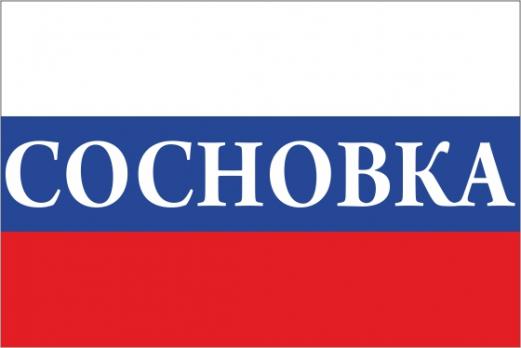Флаг России с названием города Сосновка