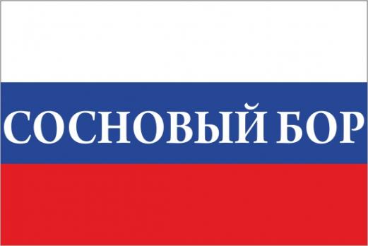 Флаг России с названием города Сосновый Бор