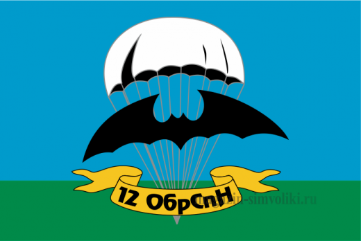 Флаг двусторонний 12 ОБрСпН, блэкаут