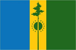 Флаг Нижнекамска