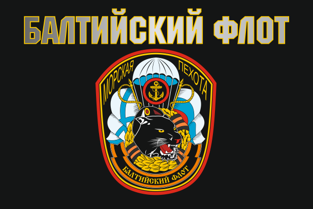 Черный флаг с эмблемой Балтийского флота