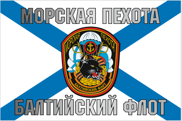 Флаг Балтийского флота ВМФ России