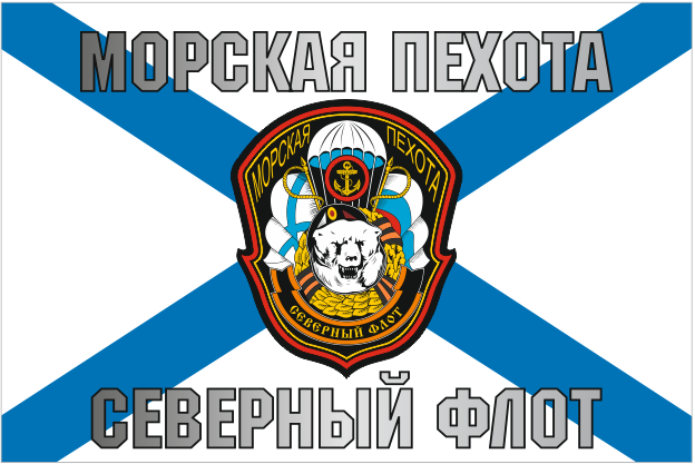Флаг Балтийского флота ВМФ России